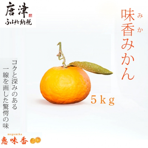 『先行予約』【令和7年2月上旬発送】果皮も丸ごとガブッ！味香みかん 5kg 新種のミカン フルーツ 果物 デザート 柑橘