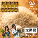 【ふるさと納税】先行予約 《定期便》令和6年産 選べる 令和5年産 10kg 3ヶ月 3回 金賞受賞農家のミルキークイーン みつわ農園 ミルキークイーン 定期便 お楽しみ 精白米 飛騨 新米 米 白米 米不足 2024 飛騨市 [Q892x] [Q892x_24]