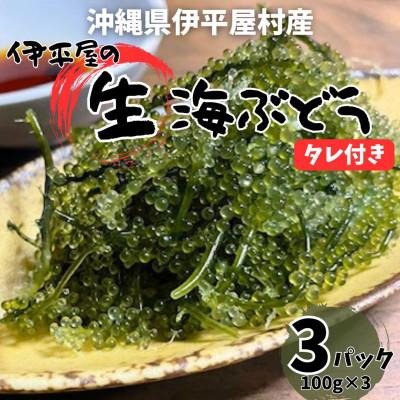 ふるさと納税 伊平屋村 ぷちぷち濃厚 伊平屋の「生」海ぶどう 100g×3パック