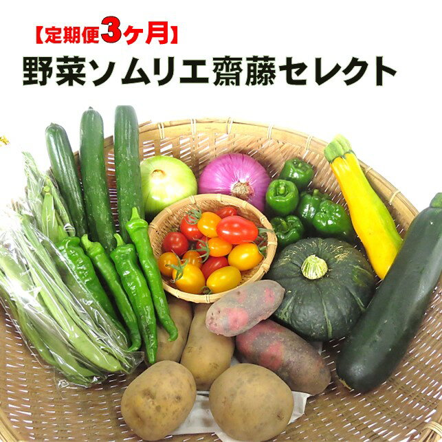 【ふるさと納税】【予約受付】2025年7月中旬発送予定【 定期便 】 野菜ソムリエ 齋藤セレクト 3ヶ月セット 旬 野菜 7品 以上 定期 詰め合わせ 岩手県 北上市 F0077 齋藤 智仁 たまねぎ にんじん ナス ピーマン パプリカ インゲン キャベツ ズッキーニ えだまめ とうもろこし