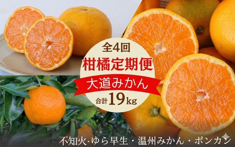 
                  【2026年分先行予約・数量限定】和歌山の柑橘3回定期便（王道みかん）合計19kg【期間限定・9/30まで受付】 / みかん ゆら早生 温州みかん ポンカン ぽんかん 不知火 デコポン 柑橘 くだもの 果物 期間限定 和歌山県 田辺市【mrn022-tk】
                