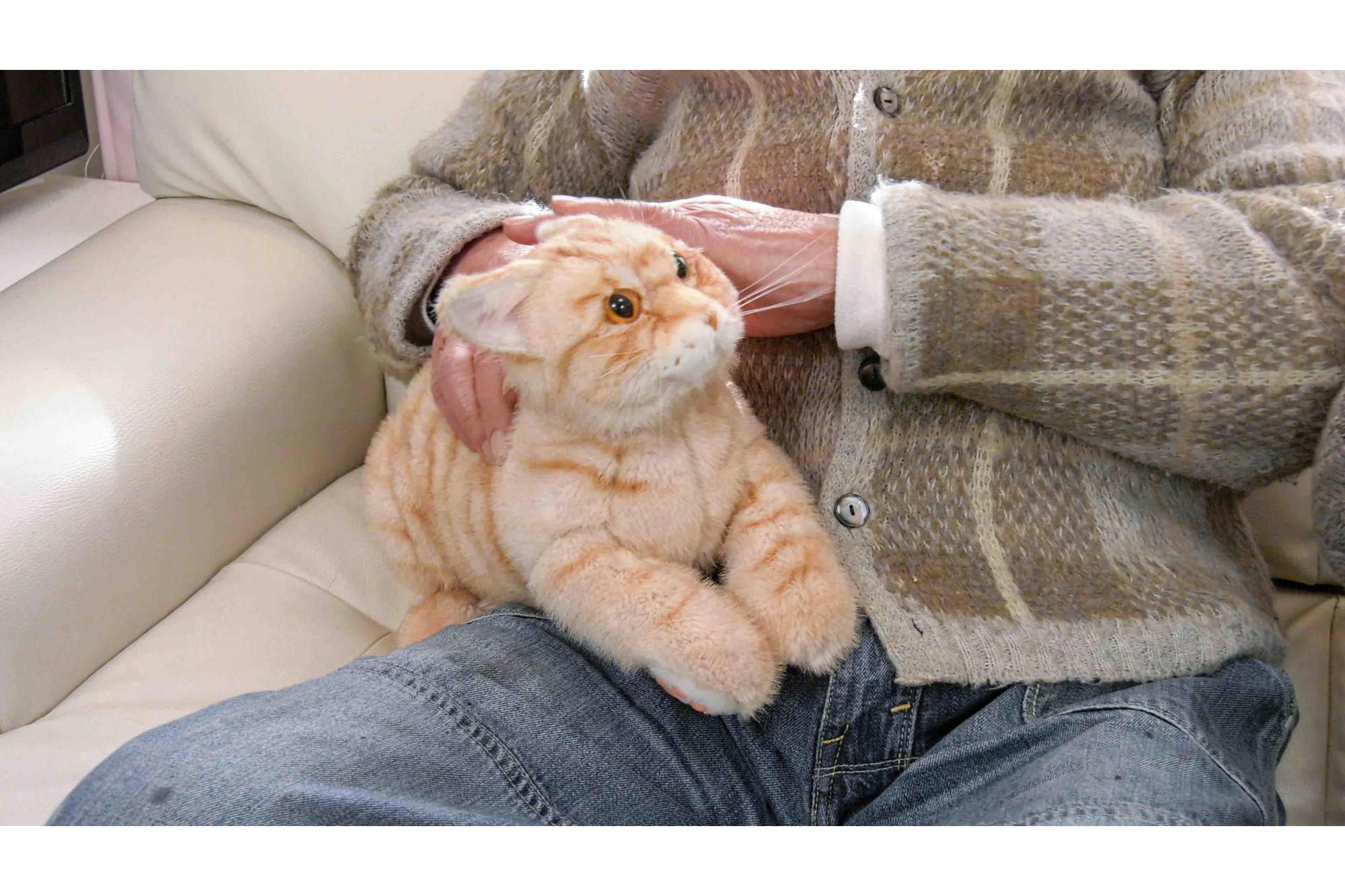 川崎市のロボットメーカーが作る、シニア向けペットの代理ロボット！なでなでねこちゃんEXシリーズ　（とら）