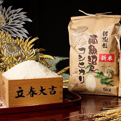 ふるさと納税 南魚沼市 【令和8年産 新米】【高級】南魚沼塩沢産こしひかり白米5kg 新潟県の特A地区南魚沼の美味しいお米