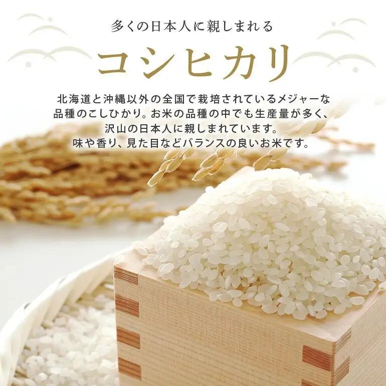 米 コシヒカリ 10kg（5kg×2） 令和8年産 【新米】【ho1751】