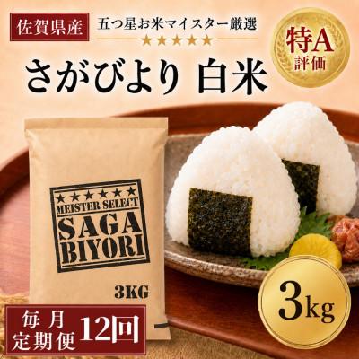 ふるさと納税 吉野ヶ里町 【毎月定期便】『さがびより』白米3kg(吉野ヶ里町)全12回