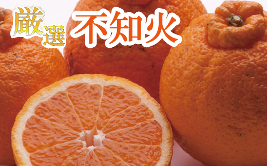 
            ＜2月より発送＞【先行予約】厳選不知火7.5kg+250g（傷み補償分）【デコポンと同品種・人気の春みかん】【ikd054D】
          
