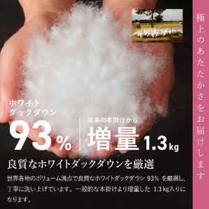 【甲州羽毛ふとん】訳あり本掛け布団 ロイヤルダウン93%増量1.3kg（ シングル）寒色 布団