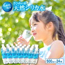 【ふるさと納税】 シリカ水 ミネラルウォーター さひめの泉 500ml 24本 国産 三瓶山 最高品質 天然水 鉱水 軟水 ナチュラルミネラルウォーター 水 シリカ ペットボトル 美容 ミネラル 非常災害備蓄用 非常用 防災グッズ 備蓄 特産品 お取り寄せ