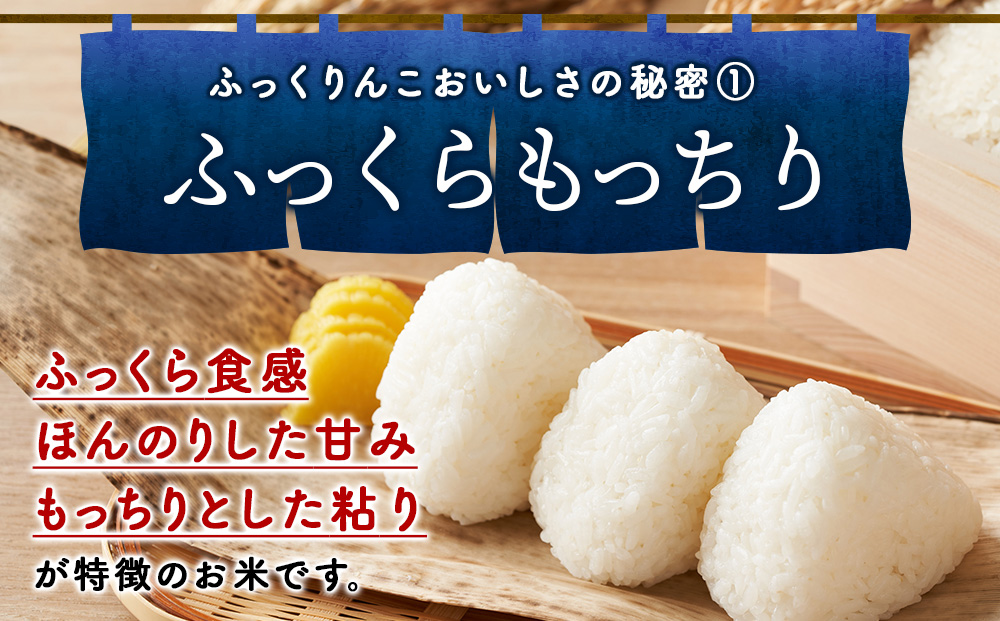 【6ヵ月定期便】北海道 木古内町産 ふっくりんこ 15kg 家計応援米　北海道米　お米・ふっくりんこ・米・6ヶ月・6回