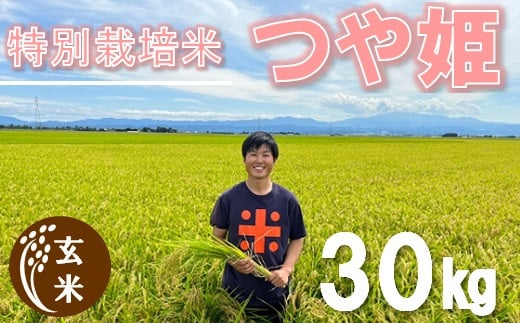 
ecofarmすがわらの特別栽培米つや姫30kg
