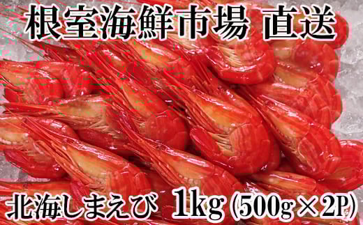 B-11118 北海しまえび500g×2P