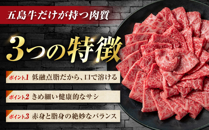 【6回定期便】五島牛 切り落とし 600g（200g×3P）五島市/meat shop FUKU [PHF015]
