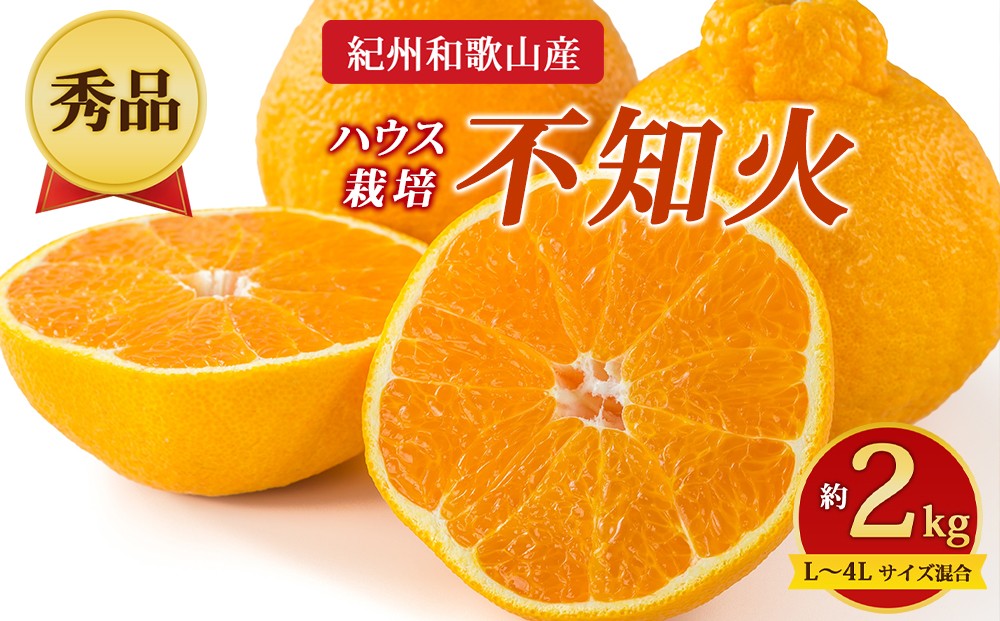 
                  【先行予約】【秀品】紀州和歌山産 ハウス栽培 不知火 約2kg（箱込み）L～4L サイズ混合
                