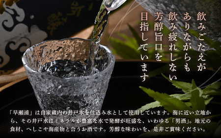 早瀬浦 大吟醸 山田錦 1800ml × 1本 【入手困難 日本酒 就職祝い 転職祝い ハレの日 ギフト プレゼント お祝い お返し お礼 お中元 お歳暮 父の日 敬老の日 】[m06-d003]