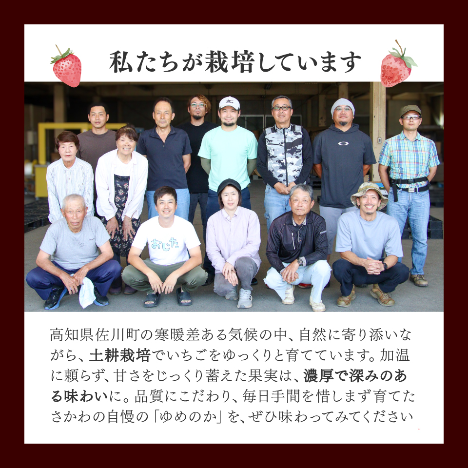 ＜2026年1月頃～3月頃発送（予定）＞【ゆめのか 285g×4パック】 いちご 苺 イチゴ  ストロベリー 佐川町産 贈答 ギフト 秀品