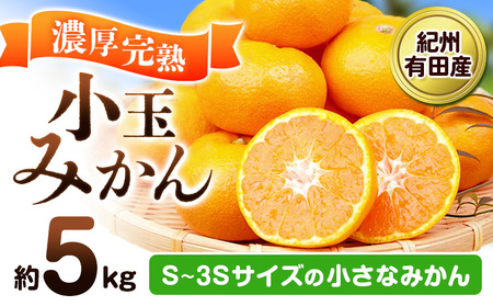 みかん 濃厚完熟 小玉みかん 約5kg
