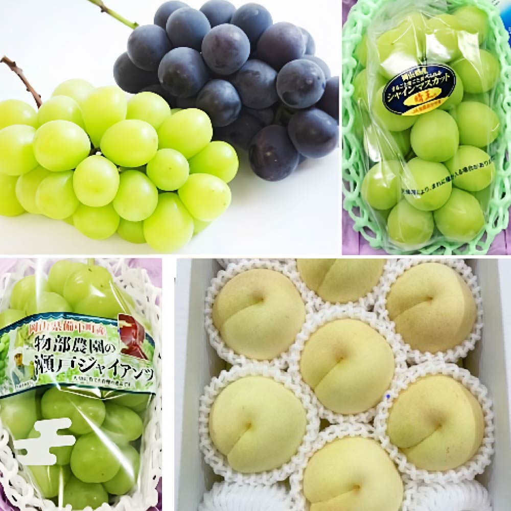 【ふるさと納税】【4回定期便】シャインマスカット・ニューピオーネ・瀬戸ジャイアンツ・岡山冬桃がたり 【2026年9月上旬より順次発送開始】 果物 くだもの フルーツ ぶどう ブドウ 葡萄 マスカット 種なし 桃 贈答品 詰合せ 詰め合わせ 冷蔵 国産 岡山県 奈義町 送料無料