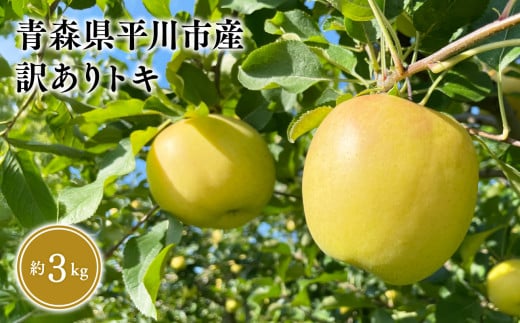 9月中旬～発送 訳あり トキ約3kg(家庭用)【なるみ農園・青森りんご・平川市産・数量限定】