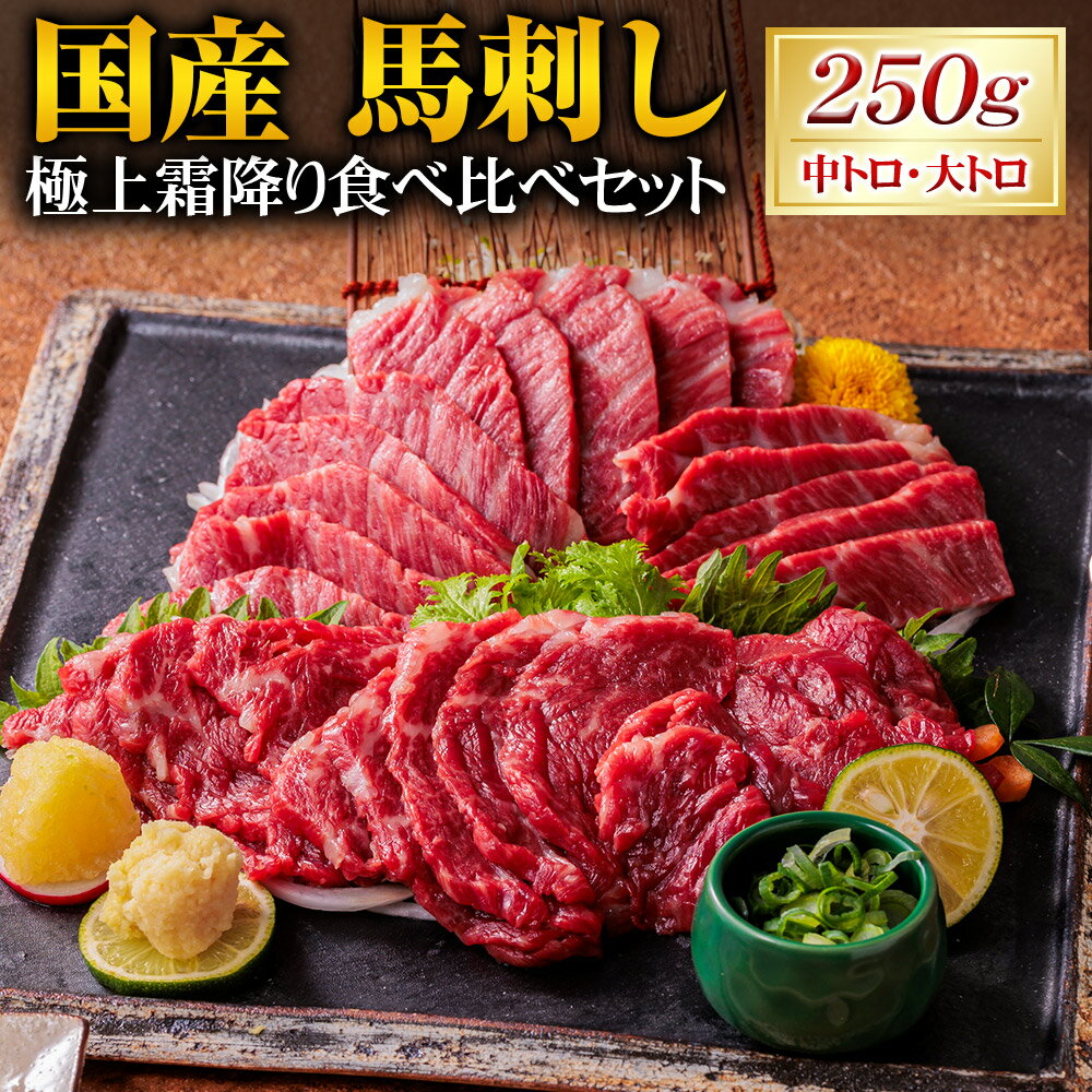 【ふるさと納税】国産 馬刺し 極上霜降り 食べ比べセット 計250g（大トロ×2パック・中トロ×3パック） 各50g 馬肉 馬刺 お肉 希少部位 専用醤油付き 詰め合わせ 冷凍 熊本県産 国産 九州 熊本県 湯前町 送料無料