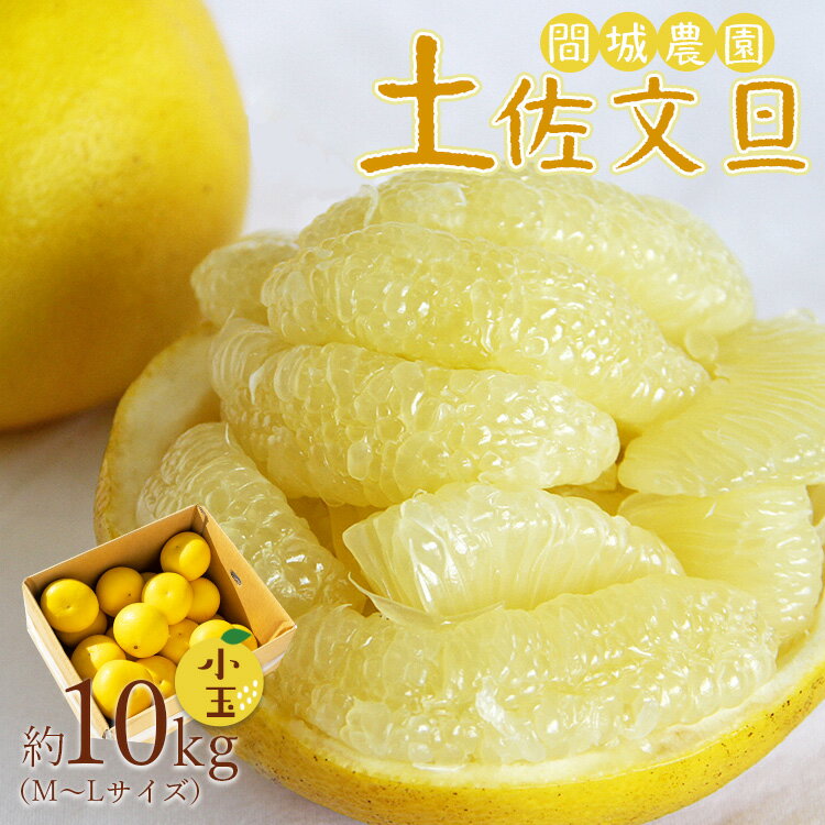【ふるさと納税】【先行予約】土佐文旦 小玉 約10kg (М〜Lサイズ) - 柑橘類 フルーツ 果物 くだもの ぶんたん ブンタン 期間限定 数量限定 国産 特産品 送料無料 間城農園 高知県 香南市【常温】ms-0081