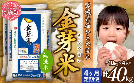 金芽米 新米定期便10kg×4回 金芽米