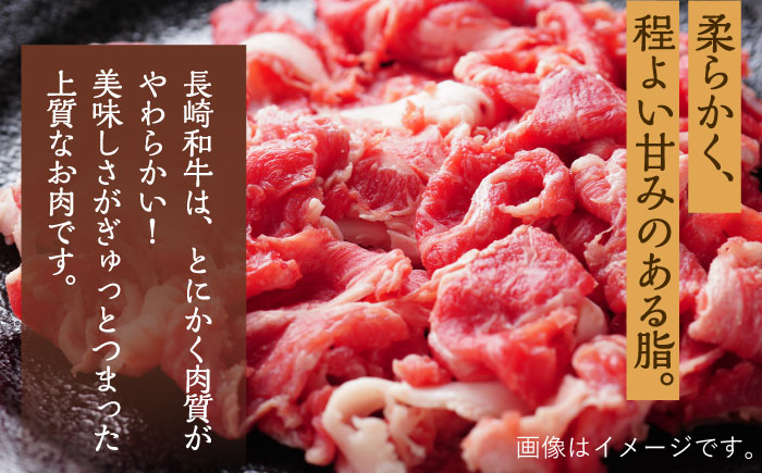 長崎和牛 特選 切り落とし 600g /長崎県産和牛 牛肉 国産牛すき焼き 炒めもの 【川下精肉店】 [OAA016]