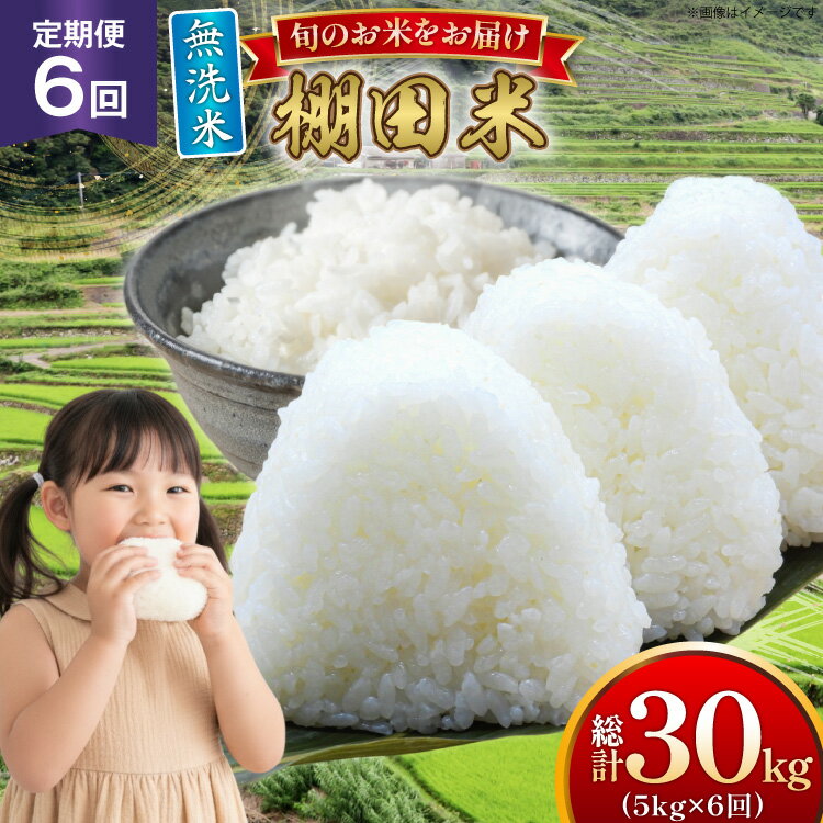 【ふるさと納税】 米 令和7年 無洗米 棚田米 5kg 6回 定期便 総計30kg [ひらど新鮮市場 長崎県 平戸市 hr42bgy400194] 令和7年産 コメ こめ ごはん ご飯 白米 精米