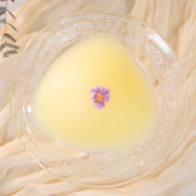 ふるさと納税 朝霞市 人工乳房 すみれパッド・Lサイズ |  | 01