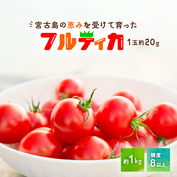 【ふるさと納税】宮古島産 トマト 【フルティカ】約1kg 糖度8以上（PN01）