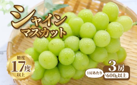 【先行予約】シャインマスカット3房【600ｇ以上】【糖度17度以上】【配送不可地域：北海道・沖縄県・離島】_M64-0010 シャインマスカット シャインマスカット シャインマスカット シャインマスカット シャインマスカット シャインマスカット シャインマスカット シャインマスカット シャインマスカット シャインマスカット シャインマスカット シャインマスカット シャインマスカット シャインマスカット シャインマスカット シャインマスカット シャインマスカット シャインマスカット シャインマスカット シャイ