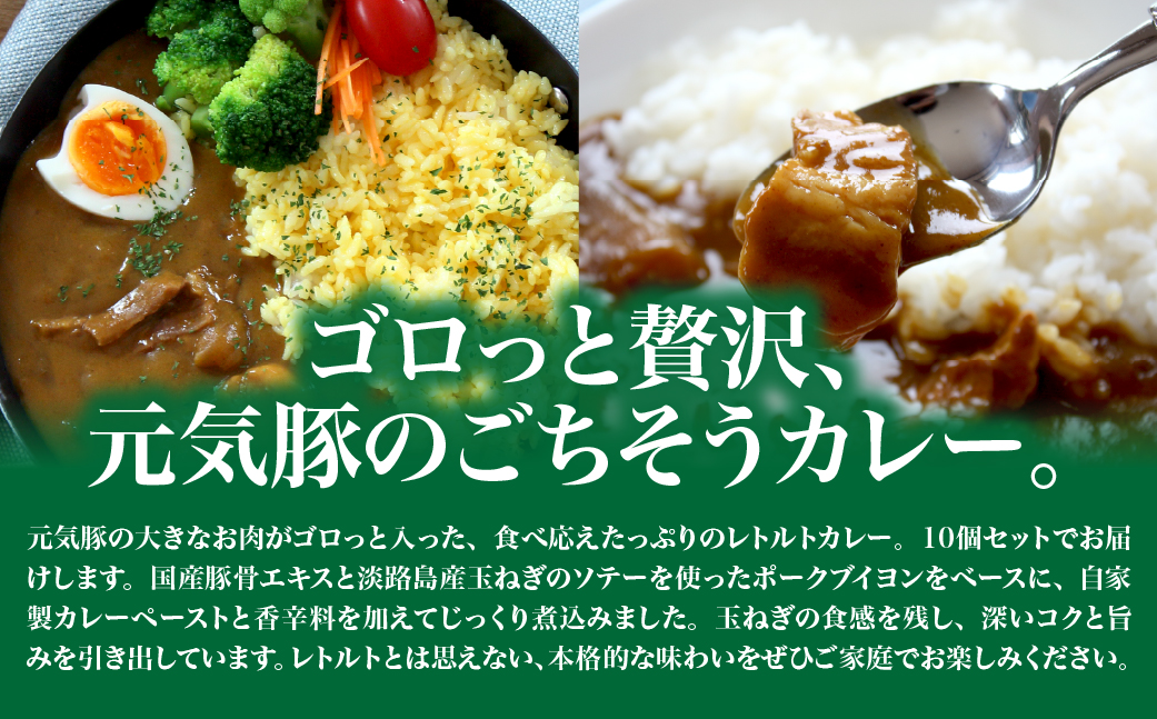 【千葉県産三元豚使用】元気豚 カレーセット　2kg(200g×10食分)【配送不可地域：離島・沖縄県】 TAKB013