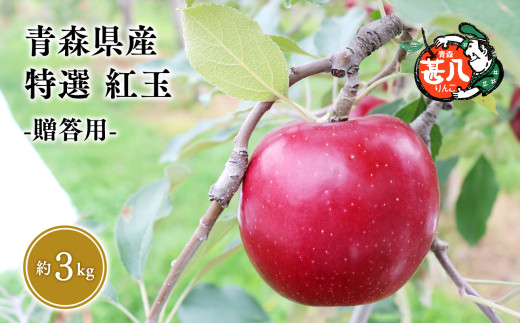 １０月発送　特選　甚八りんご紅玉３kg【青森県 平川市 マルジンサンアップル】１０月発送 贈答用 青森 青森県産 平川 りんご リンゴ 林檎 くだもの 果物 フルーツ 