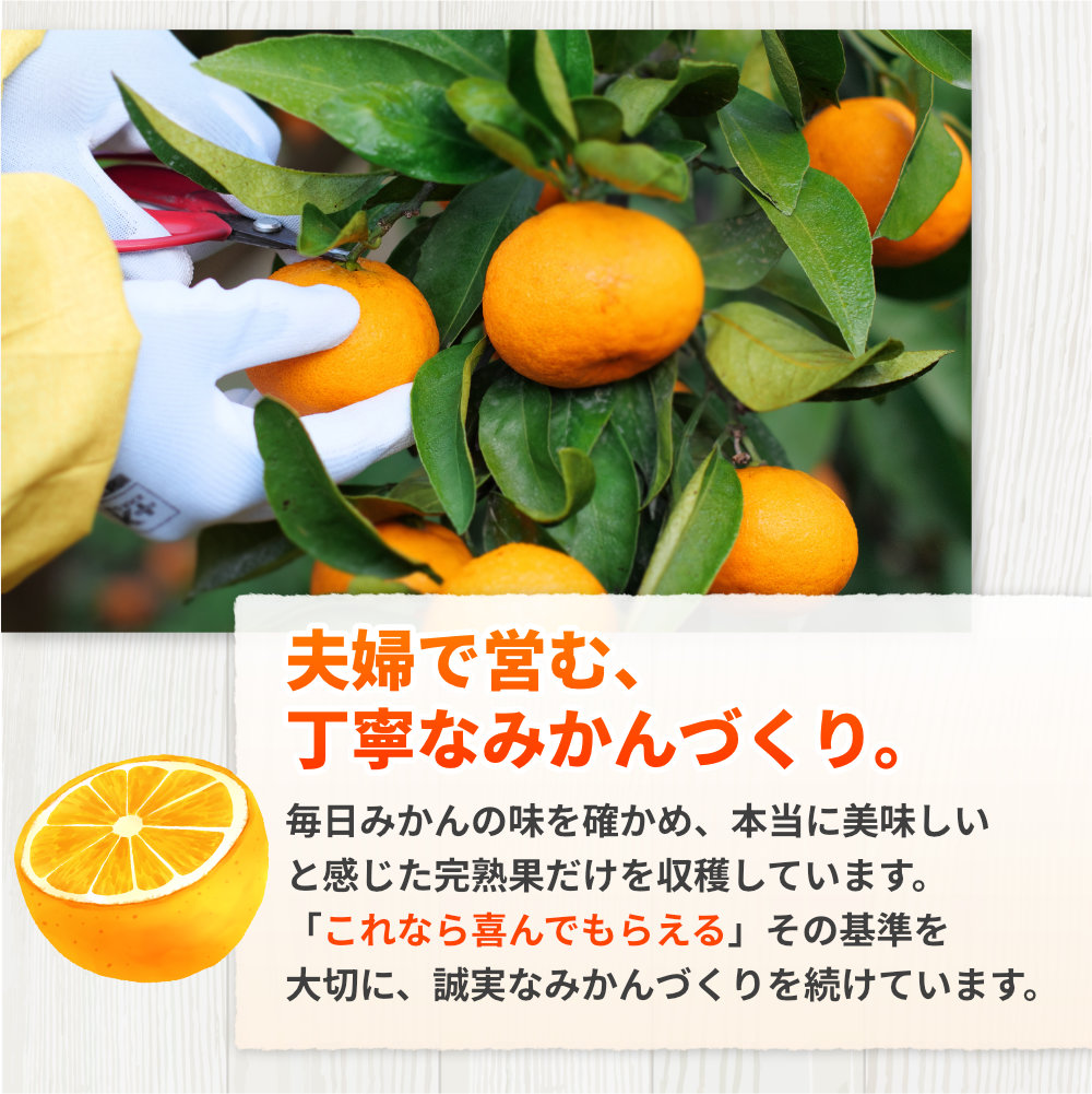 完熟 有田 みかん サイズ混合 5kg 久幸園 / 温州みかん 有田みかん 甘い 和歌山 柑橘 ※2026年11月より2027年1月下旬に順次発送予定【hsk004-r-5B】