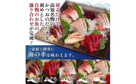刺身 盛り合わせ 5種 《須崎市》 セット 小分け 個包装 小分けパック 地魚 天然魚 冷凍 冷凍発送 新鮮 食べ比べ 600g カルパッチョ 海鮮丼 お茶漬け 離島 刺身盛り 刺身盛り合わせ 刺身セ