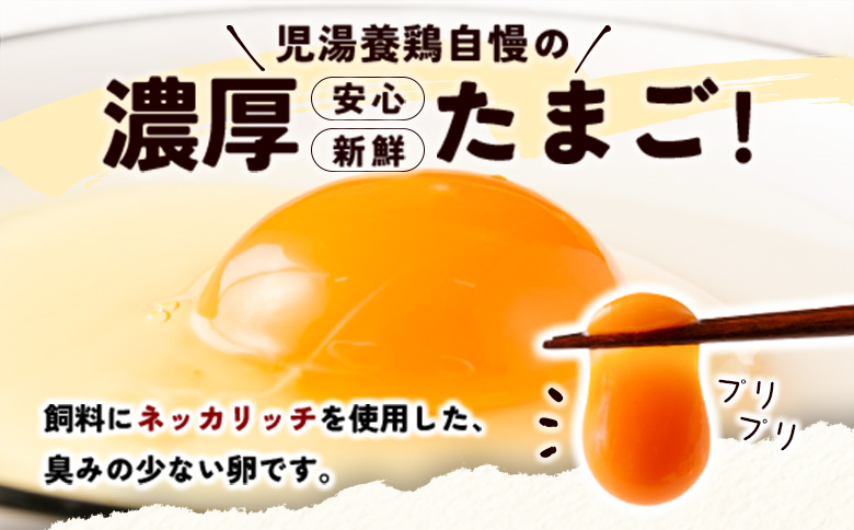 ＜配送開始月が選べる!!＞児湯養鶏自慢の卵 ネッカリッチ赤たまご「児湯一番」 計120個 （20個入×2箱）×3か月定期便 生活応援 ※2026年6月配送開始【C55-2606】 2026年6月配送開