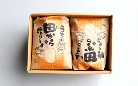 【定期便】令和5年産 漢方栽培 低温熟成乾燥 十四代目のササニシキ 5kg×2袋 （精米）全6回 米 お米 おこめ 山形県 新庄市 F3S-1704