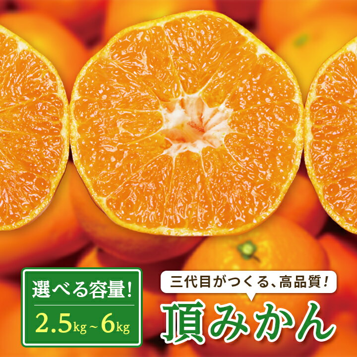 【ふるさと納税】三代目がつくる高品質【頂みかん】2.5kg~_ みかん 蜜柑 ミカン 愛媛みかん 愛媛 国産 箱 送料無料 農家直送 産地直送 柑橘 かんきつ 温州みかん 旬 フルーツ 果物 くだもの 【G1042516】