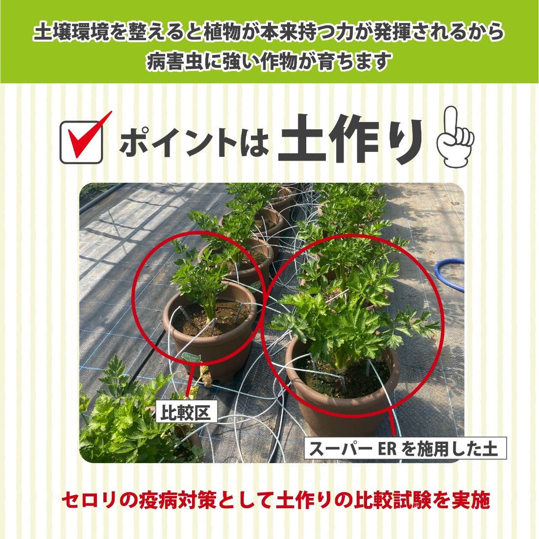土壌改良材 スーパーER富士のしずく ( 250ml×3本 ) ガーデニング 園芸 畑 農業 家庭菜園 土作り 静岡県 藤枝市