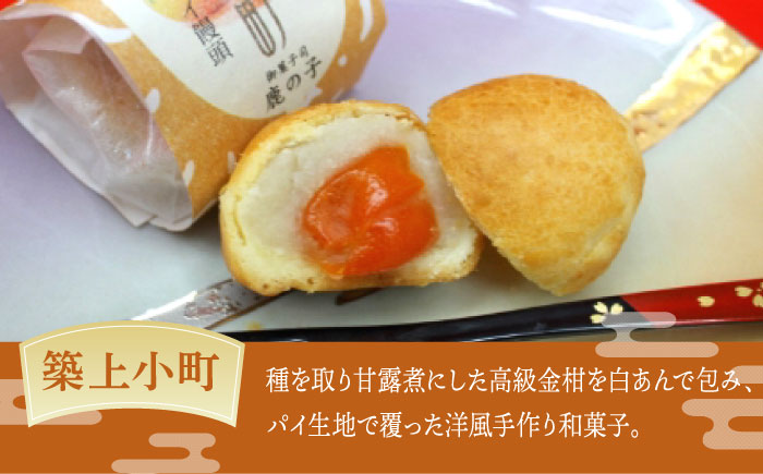 【老舗の菓子屋 鹿の子】和菓子 詰め合わせ「いろどり」4種 6個《築上町》【有限会社 御菓子司 鹿の子】 [ABAC010]