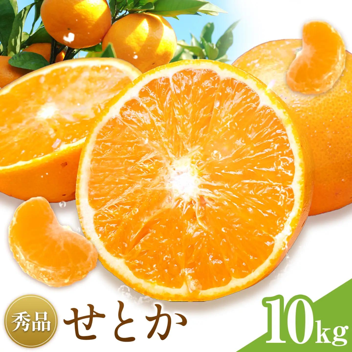 せとか 秀品 10kg