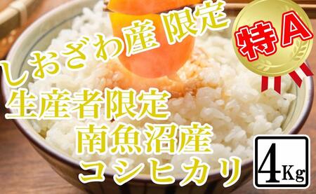 【令和7年産】【精米4kg】しおざわ産限定 生産者限定 南魚沼産コシヒカリ【2025年10月上旬より順次発送予定】