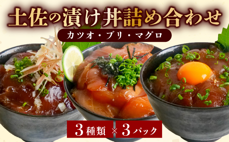 【土佐沖 丼シリーズ】お手軽！漬け丼 セット （かつお・まぐろ・天然ぶり） 各3袋［1401］