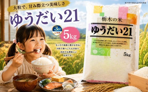 【定期3回】令和8年度 新米 栃木県産 ゆうだい21 白米 5kg | ふるさと 納税 お弁当 お米 精米 美味しい 白米 つやつや とちぎ 大粒 共通返礼品 送料無料 那珂川町 栃木県【栃木県共通返礼品】