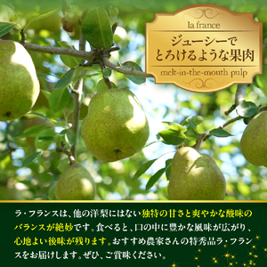 【令和7年産】食べ頃がわかる！ 洋梨「ラ・フランス」 特秀 約5kg（14玉～16玉） 山形県河北町産 【河北町観光物産協会】