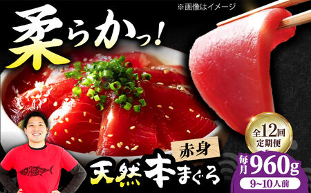 【全12回定期便】たね熟天然本まぐろ赤身(960g)[AOCE021]マグロ