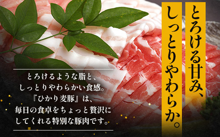 【定期便全6回】鹿児島県産 ひかり麦豚 しゃぶしゃぶ 食べ比べセット 約1kg（200g×5パック） トレーなし 冷凍 HM-15 | 肉 お肉 にく 豚肉 ロース 肩ロース バラ肉 スライス 真空冷