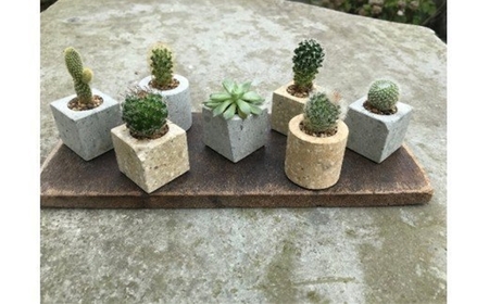 竜山石の植木鉢 〇 〇 ２個セット 【プランター 植木鉢 おしゃれ 鉢植え ガーデニング 兵庫県 高砂市】