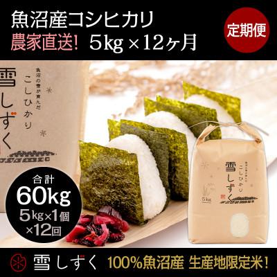 ふるさと納税 十日町市 【毎月定期便】中里地域限定!魚沼産コシヒカリ 5kg(5kg×1袋)×12回 合計60kg全12回