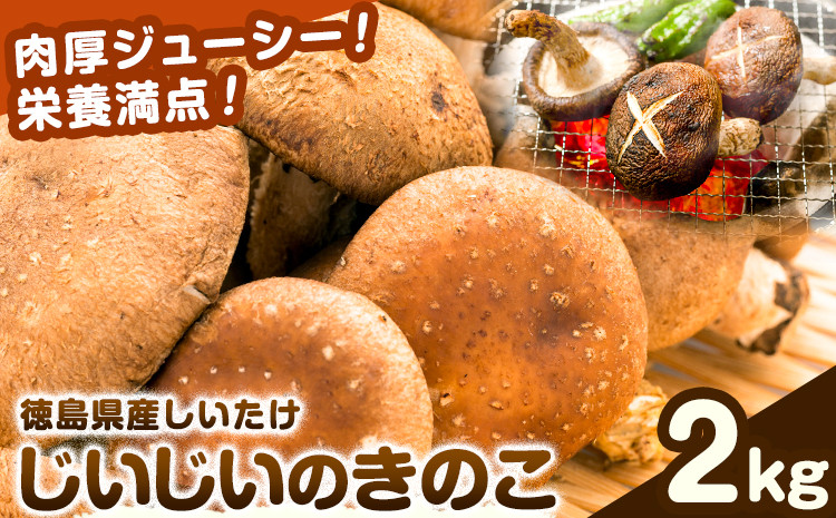 
            じいじいのきのこ 2kg しいたけ《30日以内に出荷予定(土日祝除く)》一般社団法人美馬観光ビューロー 徳島県 美馬市 生しいたけ(菌床) 特産品 美馬市産 シイタケ 椎茸 揚げ物 煮物 鍋料理 BBQ 野菜 肉厚 送料無料 st-p
          