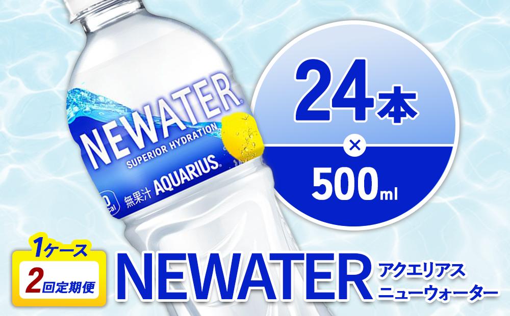 【2回定期便】アクエリアス ニューウォーター 500ml PET【コカ・コーラ】ペットボトル 1ケース(24本) 定期便 2回(48本) セット スポーツドリンク スポドリ カロリーゼロ 熱中症対策 水分補給 清涼飲料水 宮崎県 えびの市 送料無料